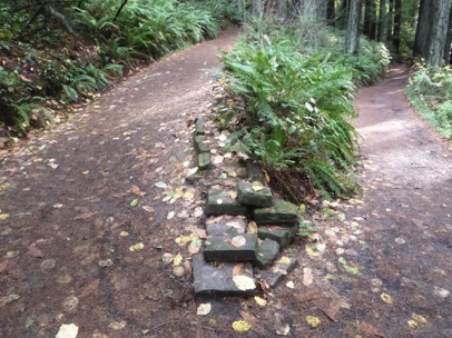 Switchback on Redwood Trail near the Redwood platform